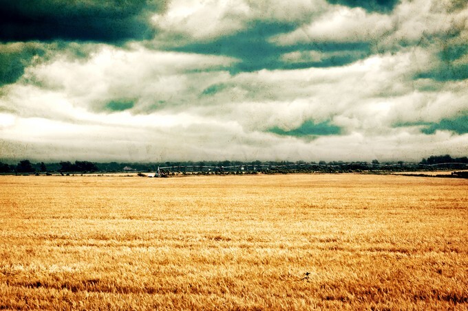 Old Picture Design - American Country